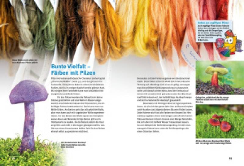 Preview: Entdecke die Pilze